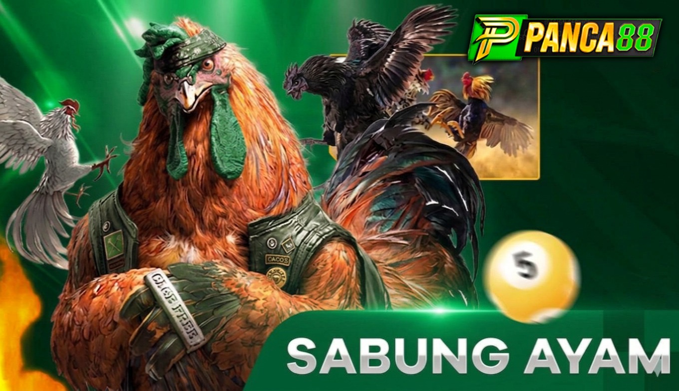 cockfight